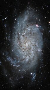 The Milky Way Galaxy Structure and Dynamics – our home galaxy