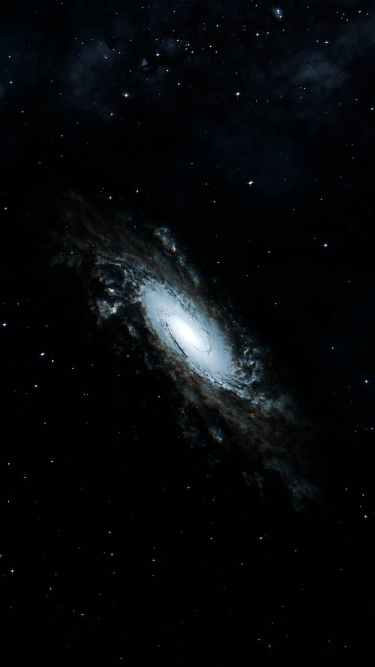 Large-Scale Structure of the Universe – cosmic web and galaxy clusters