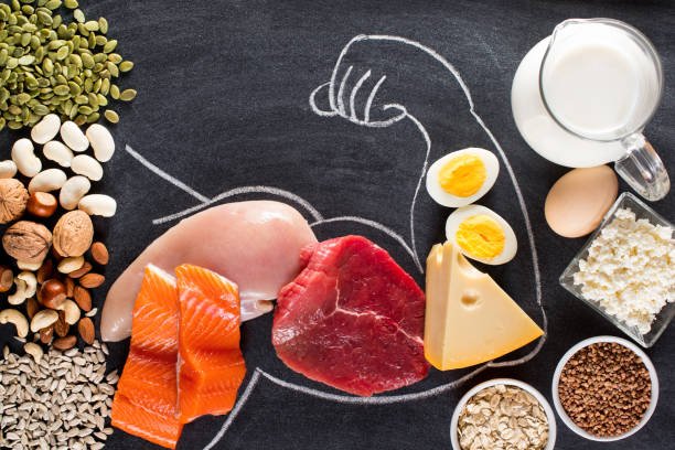 What Are the Best Sources of Protein in a Vegetarian Diet? What Are the Best Sources of Protein in a Vegetarian Diet?