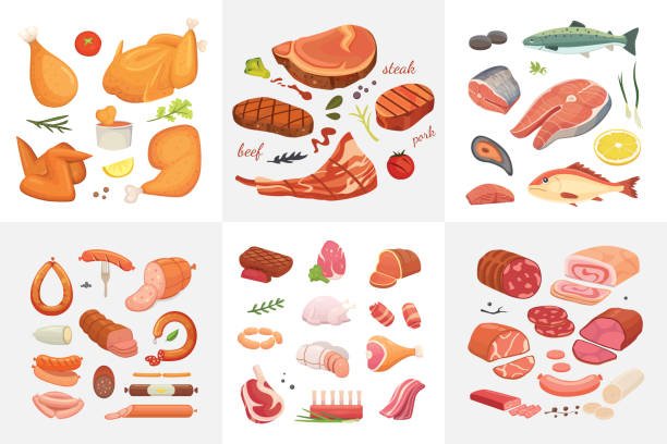 What Are the Differences Between Animal and Plant Protein Sources? What Are the Differences Between Animal and Plant Protein Sources?