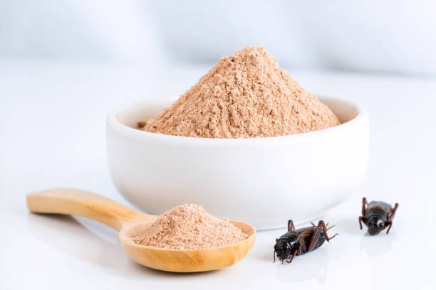 What Are the Best Protein Sources for Vegans? What Are the Best Protein Sources for Vegans?