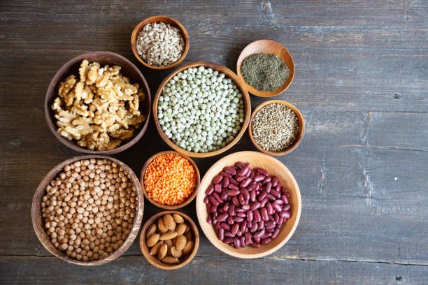 What Are the Differences Between Animal and Plant Protein Sources? What Are the Differences Between Animal and Plant Protein Sources?