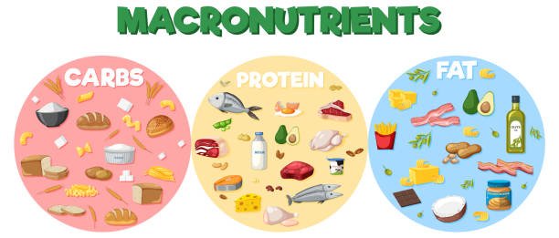 How Does Protein Intake Impact Muscle Recovery After Exercise? How Does Protein Intake Impact Muscle Recovery After Exercise?
